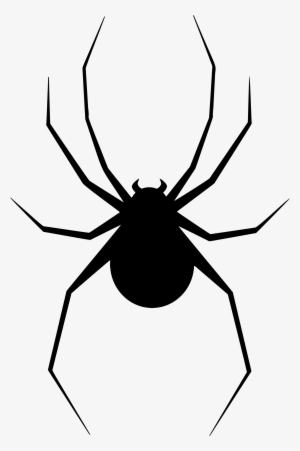 Black Spider Png Free Download - Spider Silhouette #53588