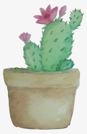 Cacto Aquarela Catarinazs Report - Cactus Watercolor Transparent #53611