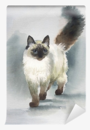 Watercolor Animal Collection - Iskhan Cat Grain Free Kitten 2.5 Kg #53814