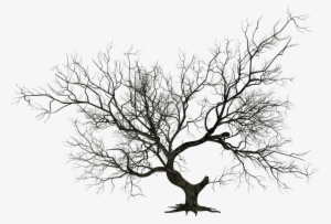 Share This Image - Halloween Tree Clip Art #54203