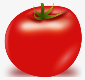 Tomato Vector Png - Tomato #54276