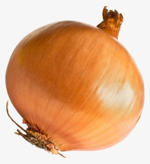Onion - Onion Png #54574