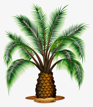 Palm Tree Clipart Pineapple Tree - Different Types Of Palm Trees #54777
