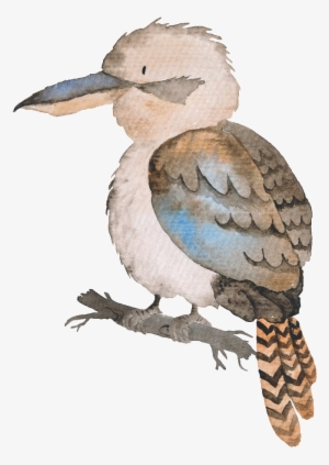 Hand-painted Colored Bird Transparent Animal Png - Free Australian Animal Cartoon #54886