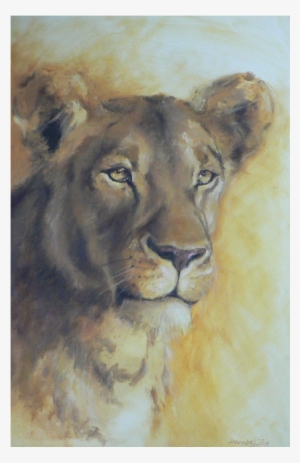 Lioness Portrait - Lion #55533