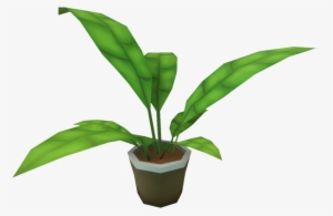 Furniture Ornamental Plant - Ornamental Plant Png Transparent #55759