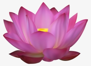 Lotus Png #55780 Lotus Png #55780