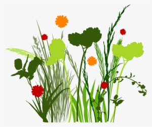 Png Clipart Free - Meadow Graphic #56037