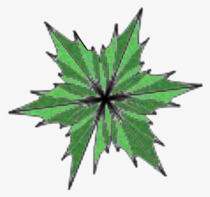 Tree Plan Png Kayu Manis Tree Kapur Tree - Portable Network Graphics #56352