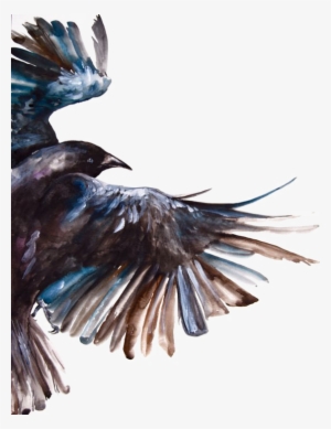 Clipart Freeuse Download Common Raven Bird Painting - Crow's Feather #56355