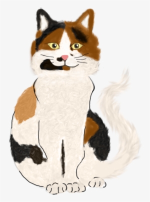 Illustrations Done On Ipad Pro For New Animation Project - Snowshoe #56378 Illustrations Done On Ipad Pro For New Animation Project - Snowshoe #56378