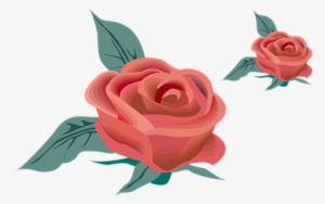 Red Rose, Flower, Nature, Fragrance #56479