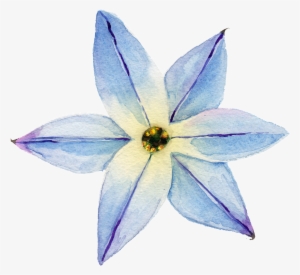 Elegant Transparent Watercolor Flowers Free Download #56730 Elegant Transparent Watercolor Flowers Free Download #56730