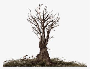 Share This Image - Tree Roots Transparent Png #56755