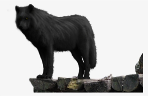 Black Wolf On Rock Png - Wolf #57052