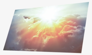 Video Perfection - Random-access Memory #57558