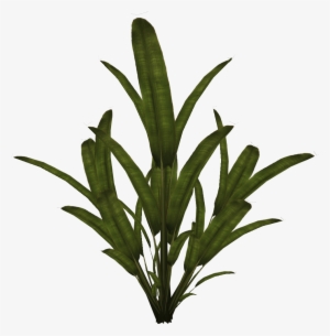 Palmtree - 2d Plant Sprite #57748