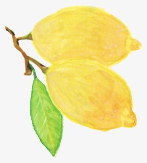 Free Download - Png Watercolor Yellow Flower #57963