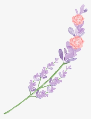 Mira & Graphic Watercolor & Swirls Example Image - Watercolor Painting #58338