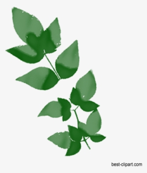 Fresh Green Watercolor Branch Clip Art Free - Watercolor Painting #58507