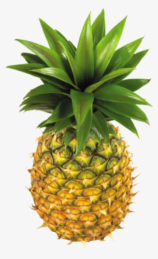 Pineapple Fruit Png Image - Free Clipart Pineapple #58753