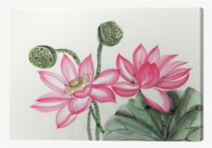 Watercolor Painting Of Lotus Flower Canvas Print • - Watercolor Painting #58891