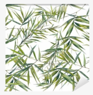 Watercolor Illustration Of Bamboo Leaves , Seamless - Blanc Naturals Anti Aging Vitamin C Serum Boo, Green #59511 Watercolor Illustration Of Bamboo Leaves , Seamless - Blanc Naturals Anti Aging Vitamin C Serum Boo, Green #59511