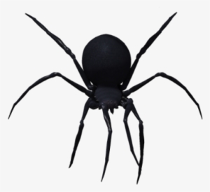 Black Widow Spider Png Image - Black Widow Spider Png #59766