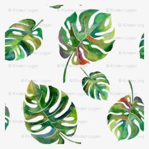 Tropical Island Palms Palm Leaves Watercolor - Swiss Cheese Plant Vector #59873