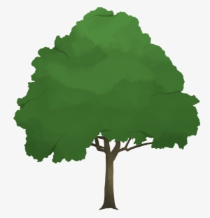 The Brush Created Has A More Watercolor Type Feel To - Oak #59998