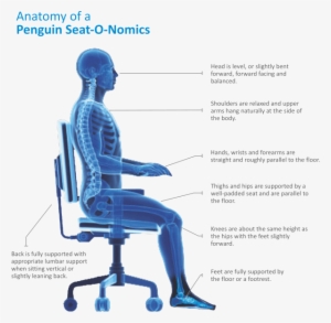 Aegis Utmost Care - Bac< Backboard Portable Back Posture Support ,black #500378