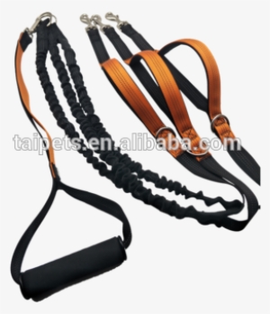 2018 Hotsale 3 Way Dog Coupler Leash Non Tangle Swivel - Rein #500658