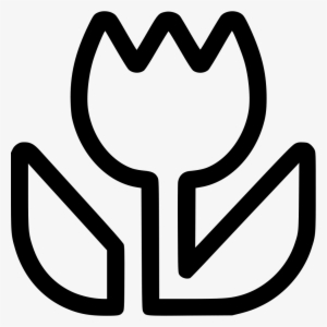 Oyps Flower Macro Photography Photo Comments - Photograph #500722