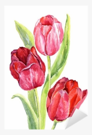 Tulipanes En Acuarela Png #500992