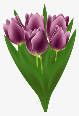 Tulips - Purple Tulips Bouquet Transparent #501144