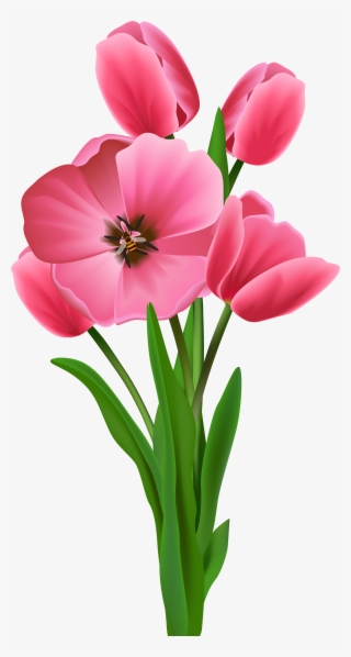 Transparent Image Tulipany Pinterest - Tree Flower Clipart Png #501752