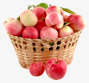 Free Png Apple Basket Png Images Transparent - Apple Png #501775