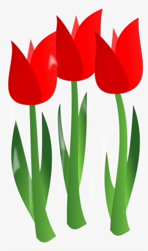 Red Tulips Svg Clip Arts 348 X 592 Px #502049