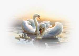 This Photo Was Uploaded By - O Ljubvi I Seksual'noj Jenergii: О Любви И Сексуальной #502136