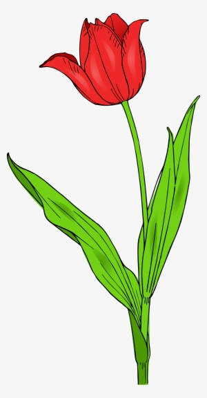 Spring Tulips Clipart - Tulip Clip Art #502192