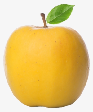 A New Sweet, Crispy Apple With Exceptional Flavor, - Russeting #502217