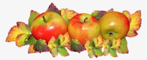 Fruit, Apples, Autumn, Leaves, Food, Harvest Festival - Fall Apples And Leaves #502553