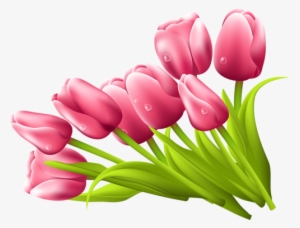 Pink Tulips Png For Kids - Flor Tulipan Png #502613