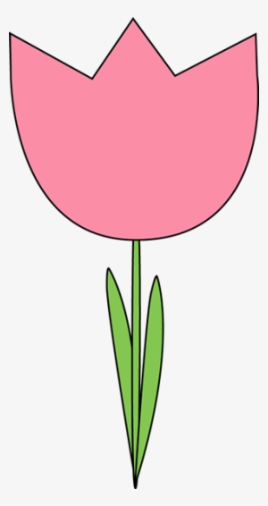 Multicolor Tulips - Blue Tulip Flower Png - Free Transparent PNG ...