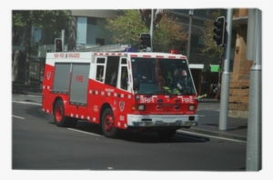 Fire #503558