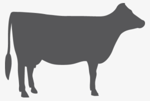 Download Cow Silhouette Png Transparent Cow Silhouette Png Image Free Download Pngkey