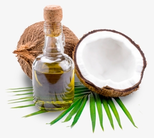 Coconut Oil Png #504614