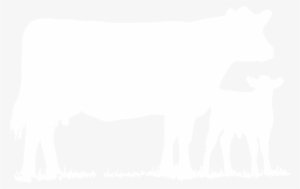 Briarose Farm - White Cow Silhouette #504666 Briarose Farm - White Cow Silhouette #504666