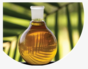 Palm Oil Png - Palm Oil No Background #504683