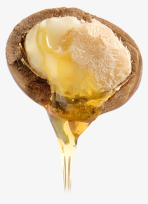 The Half Truth #504687